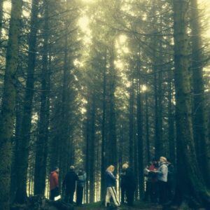 tall pine trees with seven people stood on the forest floor